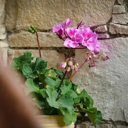 Haven * Лимасол