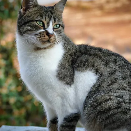 Holiday home Haven Limassol