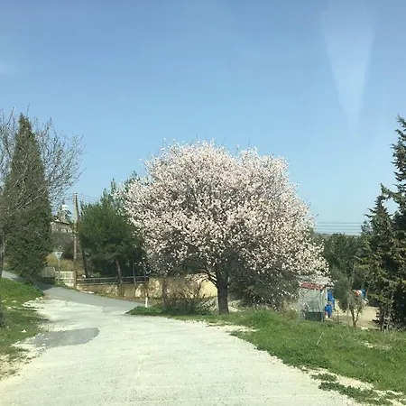 Haven Дом отдыха