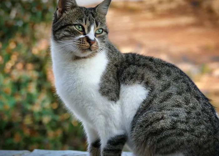 Prázdninový dům Haven Lemesos